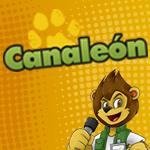 camaleon