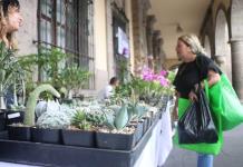 Realizan la exposición ‘Flores y Colores de México’ en el Centro Histórico de Guadalajara