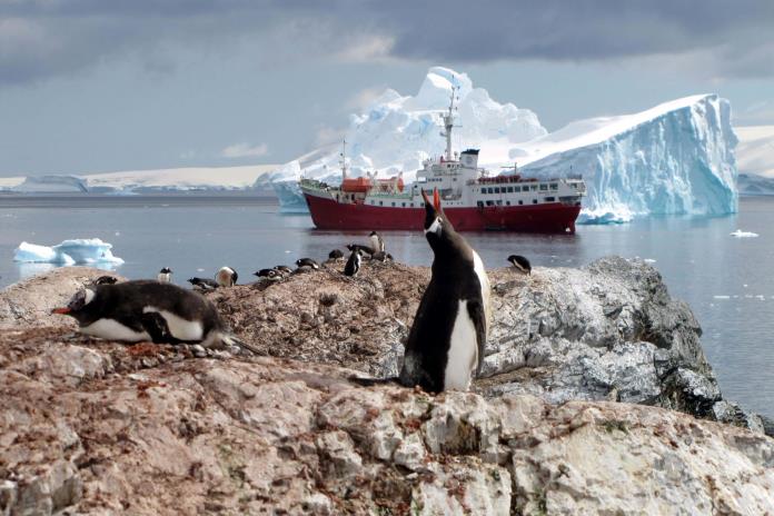 El deshielo precoz de la Antártida diezma a los pingüinos emperador