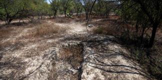 Agentes revisan terreno clave en busca de desaparecidos en Nuevo León