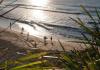 Playas privatizadas en Vallarta y Bahía de Banderas, bajo la lupa de Semarnat