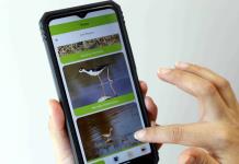 Turismo de naturaleza: CUSur lanza app para observar aves