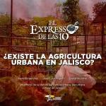 ¿Existe la Agricultura Urbana en Jalisco? - El Expresso de las 10 - Mi. 27 Septiembre 2023