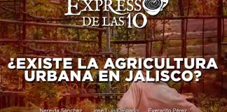 ¿Existe la Agricultura Urbana en Jalisco? - El Expresso de las 10 - Mi. 27 Septiembre 2023