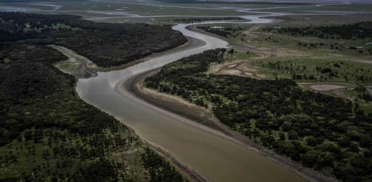 Hallan cerca de 110 delfines de río muertos en un lago de la Amazonía brasileña