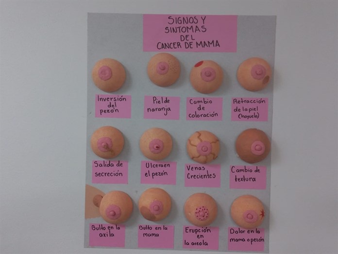 Todas y todos contra el cáncer de mama, arranca el mes rosa Todas y todos contra el cáncer de mama, arranca el mes rosa