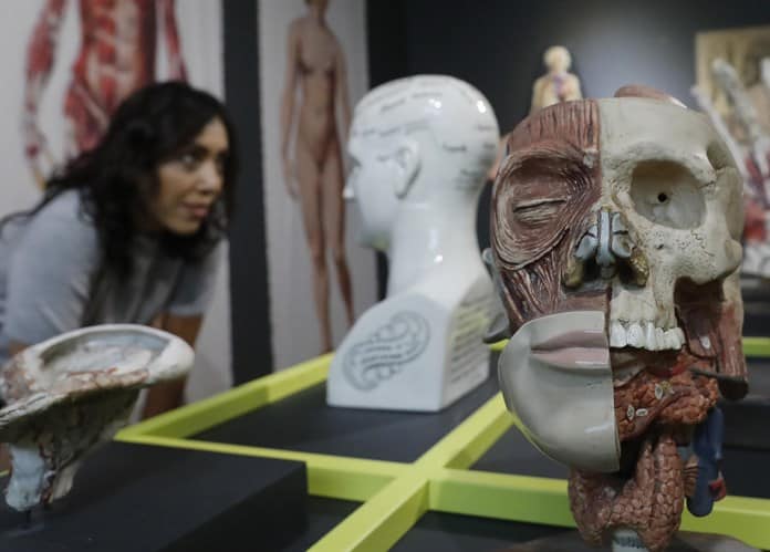 Una muestra en México busca romper los tabúes sobre la higiene con más de 3.000 objetos