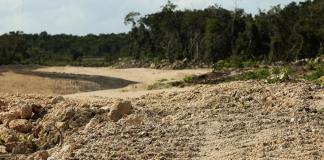 El Tren Maya ha derribado más de 10 millones de árboles en sureste de México