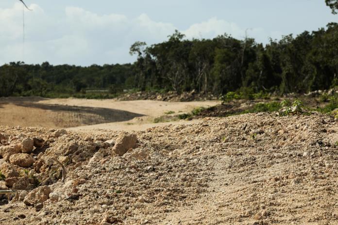 El Tren Maya ha derribado más de 10 millones de árboles en sureste de México El Tren Maya ha derribado más de 10 millones de árboles en sureste de México
