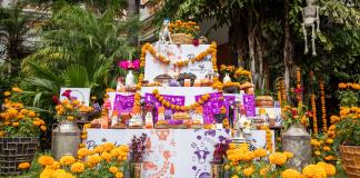 Premian a los mejores panes de muerto de Guadalajara en la Paneada Santa