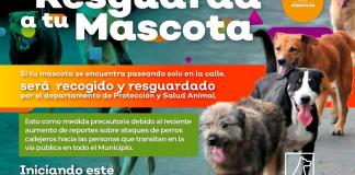 Por denuncias ciudadanas de agresión de perros callejeros, implementaron el programa "Resguarda a tu mascota" en Poncitlán.