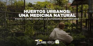 Huertos urbanos una medicina natural Parte I: Leyes contra la autonomía
