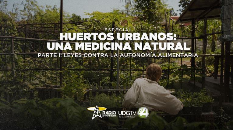 Huertos urbanos una medicina natural Parte I: Leyes contra la autonomía