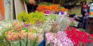 Vendedores de flores garantizan que no habrá aumento de precios para el 2 de noviembre