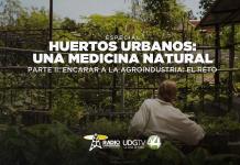 Huertos urbanos una medicina natural Parte II: Encarar a la agroindustria el reto