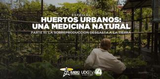 Huertos urbanos una medicina natural Parte III: La sobreproducción desgasta a la tierra