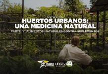Huertos urbanos una medicina natural Parte IV: Alimentos naturales contra suplementos