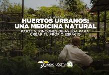 Huertos urbanos una medicina natural Parte V: Rincones de ayuda para crear tu propio espacio