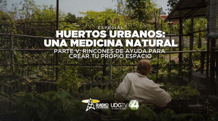 Huertos urbanos una medicina natural Parte V: Rincones de ayuda para crear tu propio espacio