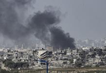 Israel utiliza buitres para localizar cadáveres tras ataque de Hamás