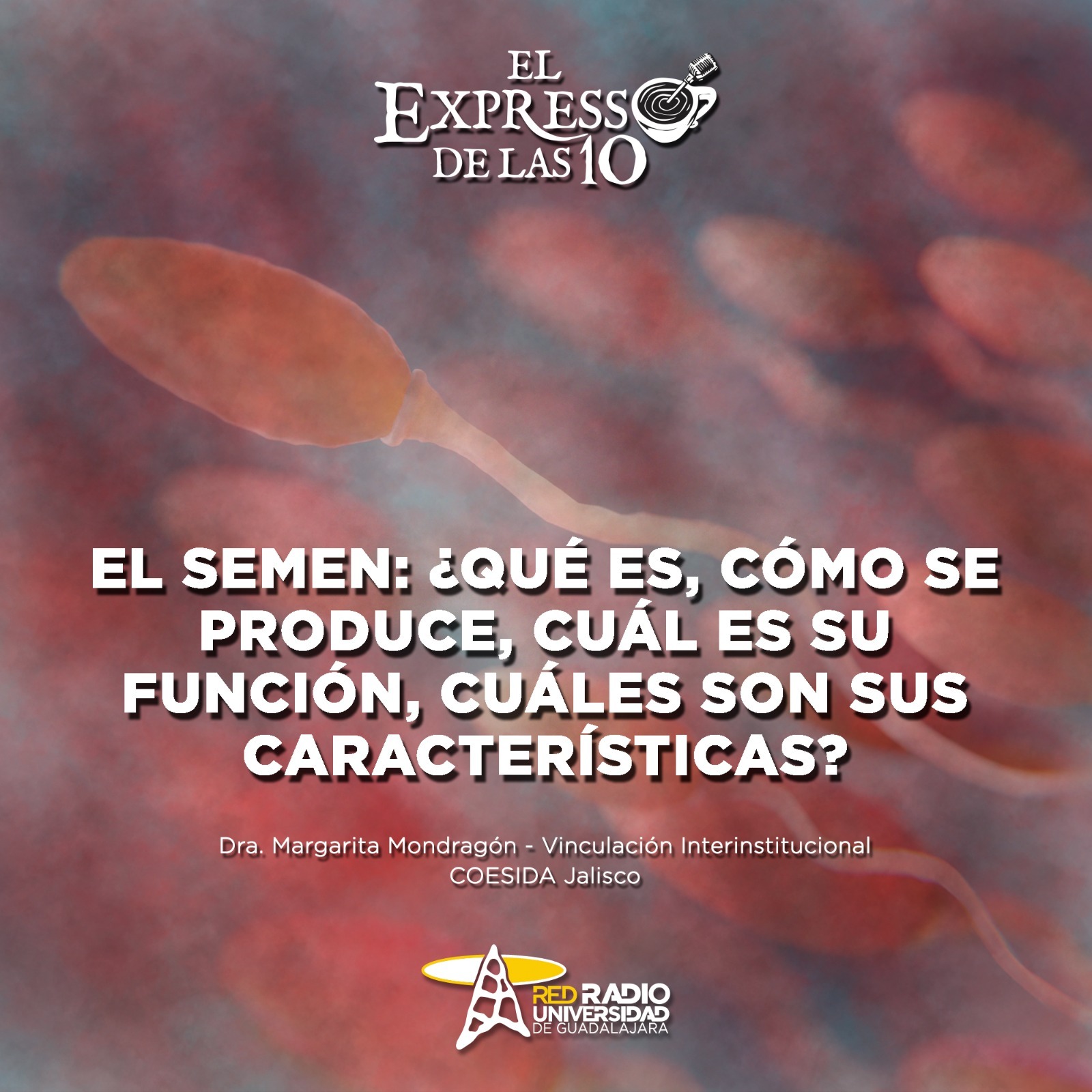 El SEMEN - El Expresso de las 10 - Ju. 09 Noviembre 2023