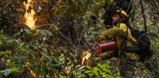 Fuego contra el fuego: California combate incendios forestales con quemas controladas