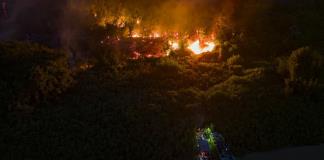 Incendios fuera de control ponen en peligro la fauna en el Pantanal brasileño