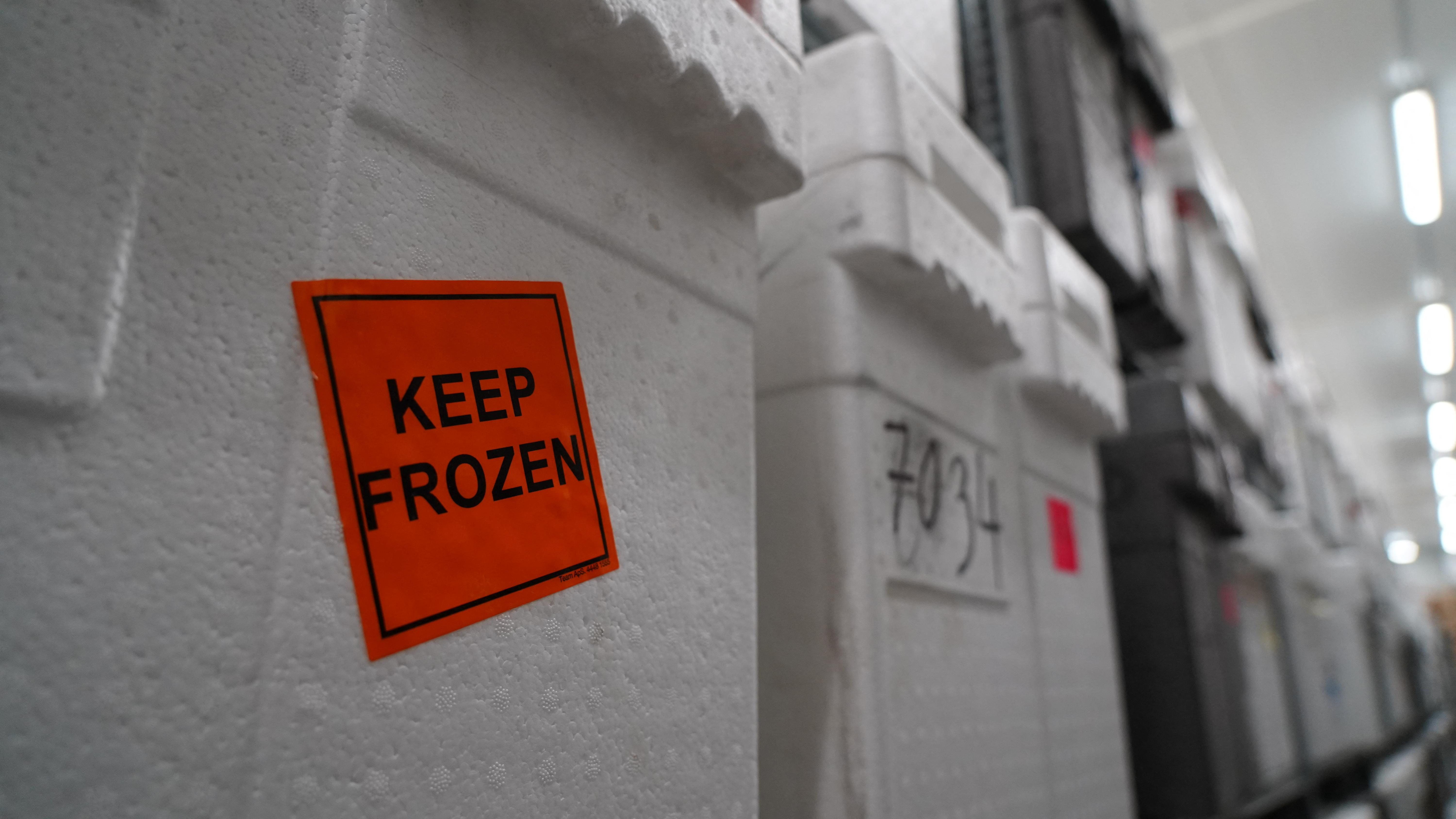 Muestras de hielo ancestral de biblioteca bajo cero cuentan el pasado del clima