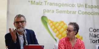 Empresarios cuestionan el decreto que restringe el uso de maíz transgénico en México