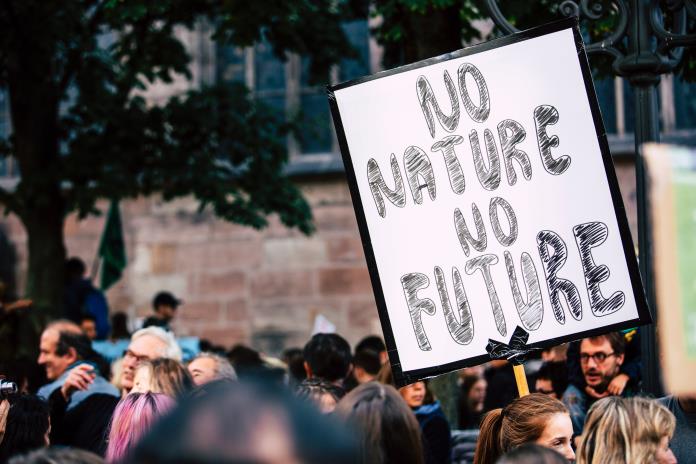 Tribunal sueco exime multa a ecologista citando emergencia climática Tribunal sueco exime multa a ecologista citando emergencia climática