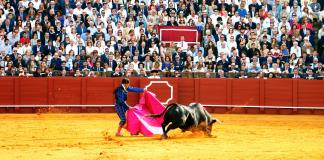 Tribunal resuelve que las corridas de toros en Guadalajara continúan suspendidas