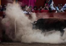 Los toros vuelven a Guadalajara con once corridas tras una suspensión en noviembre de 2023