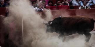 López Obrador propone consulta popular sobre futuro de corridas de toros