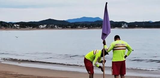 Emergencia en Playas de la Región Costa Sur: Emiten Bandera Morada por Ataque de Tiburón