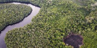Indígenas colombianos vs. créditos de carbono: el lado oscuro de la geopolítica ambiental