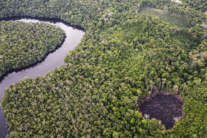Indígenas colombianos vs. créditos de carbono: el lado oscuro de la geopolítica ambiental