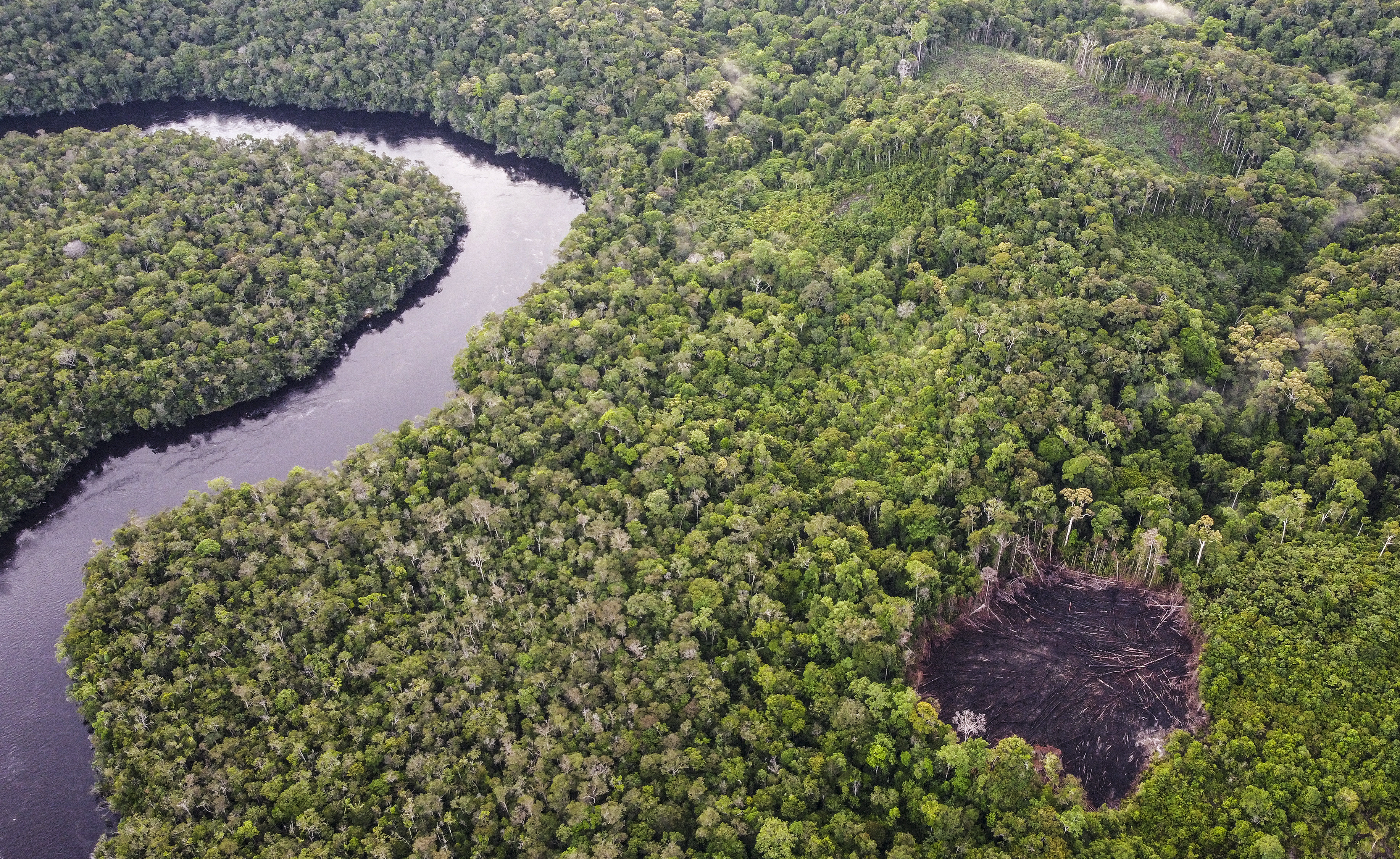 Indígenas colombianos vs. créditos de carbono: el lado oscuro de la geopolítica ambiental