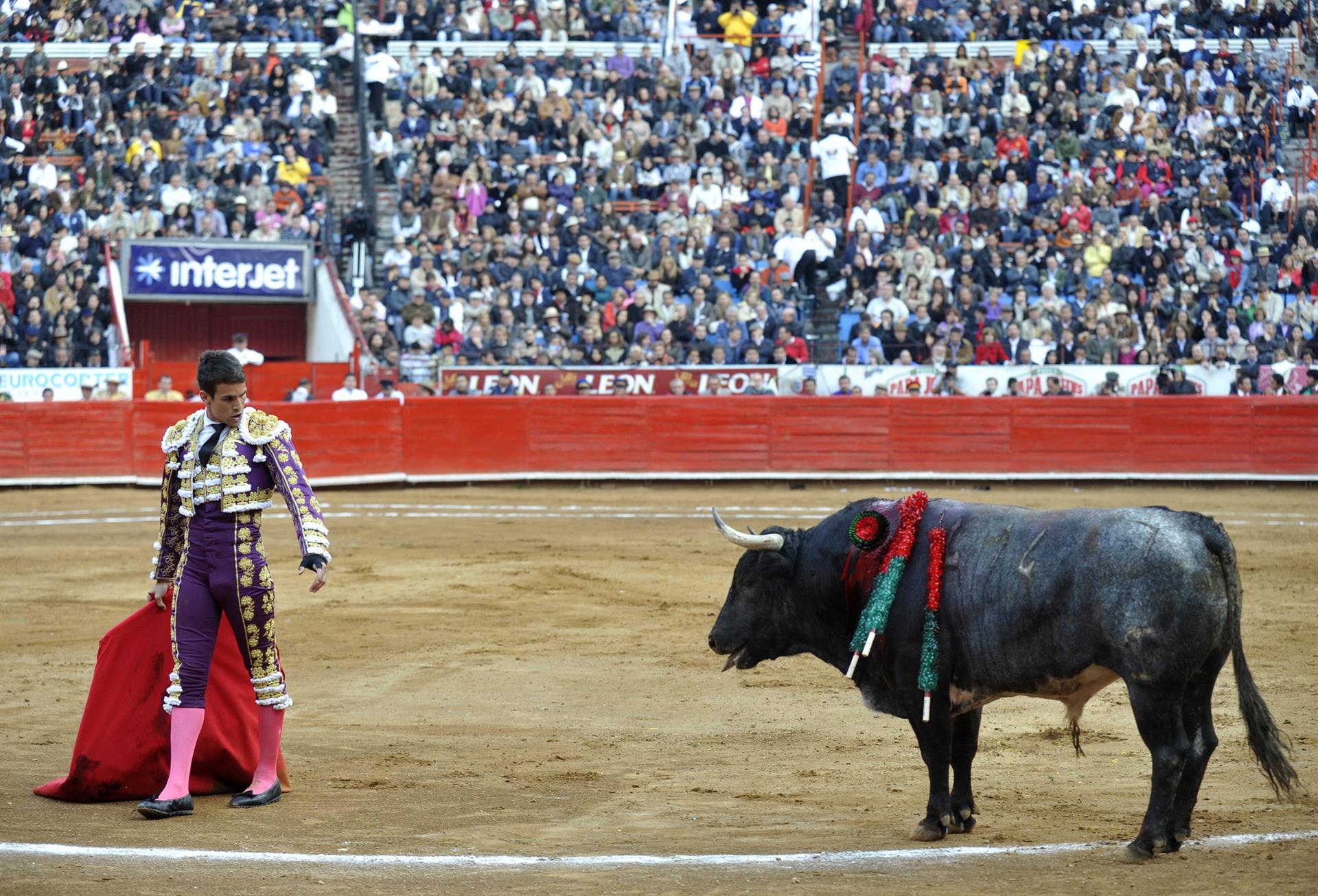 Activistas se manifiestan frente a la alcaldesa; exigen eliminar corridas de toros en Gdl