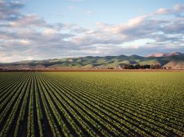 En julio, FAO México finaliza estudio de zonificación agroecológica en Jalisco