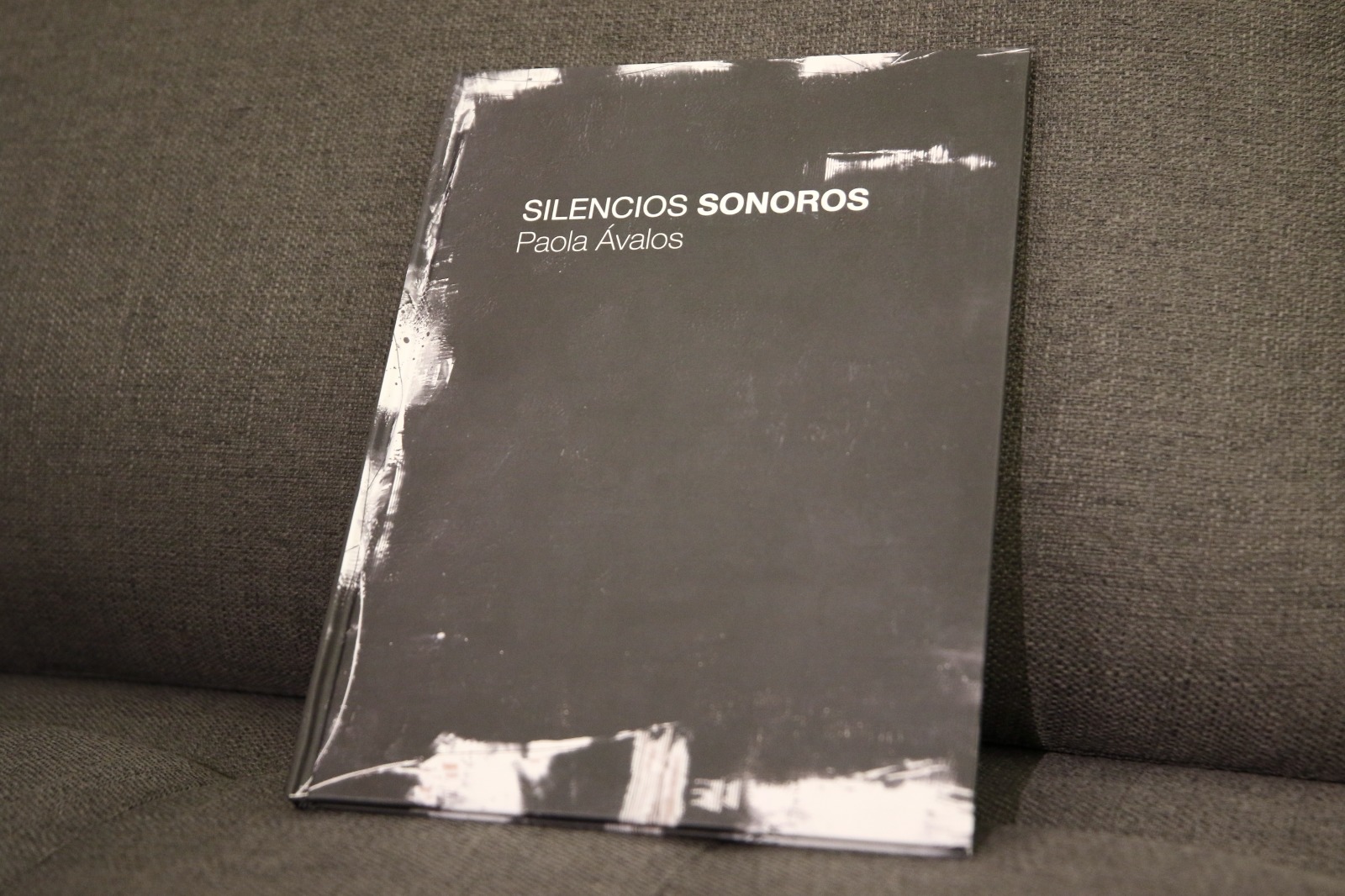 La artista plástica Paola Ávalos presenta su catálogo de la exposición “Silencios sonoros”