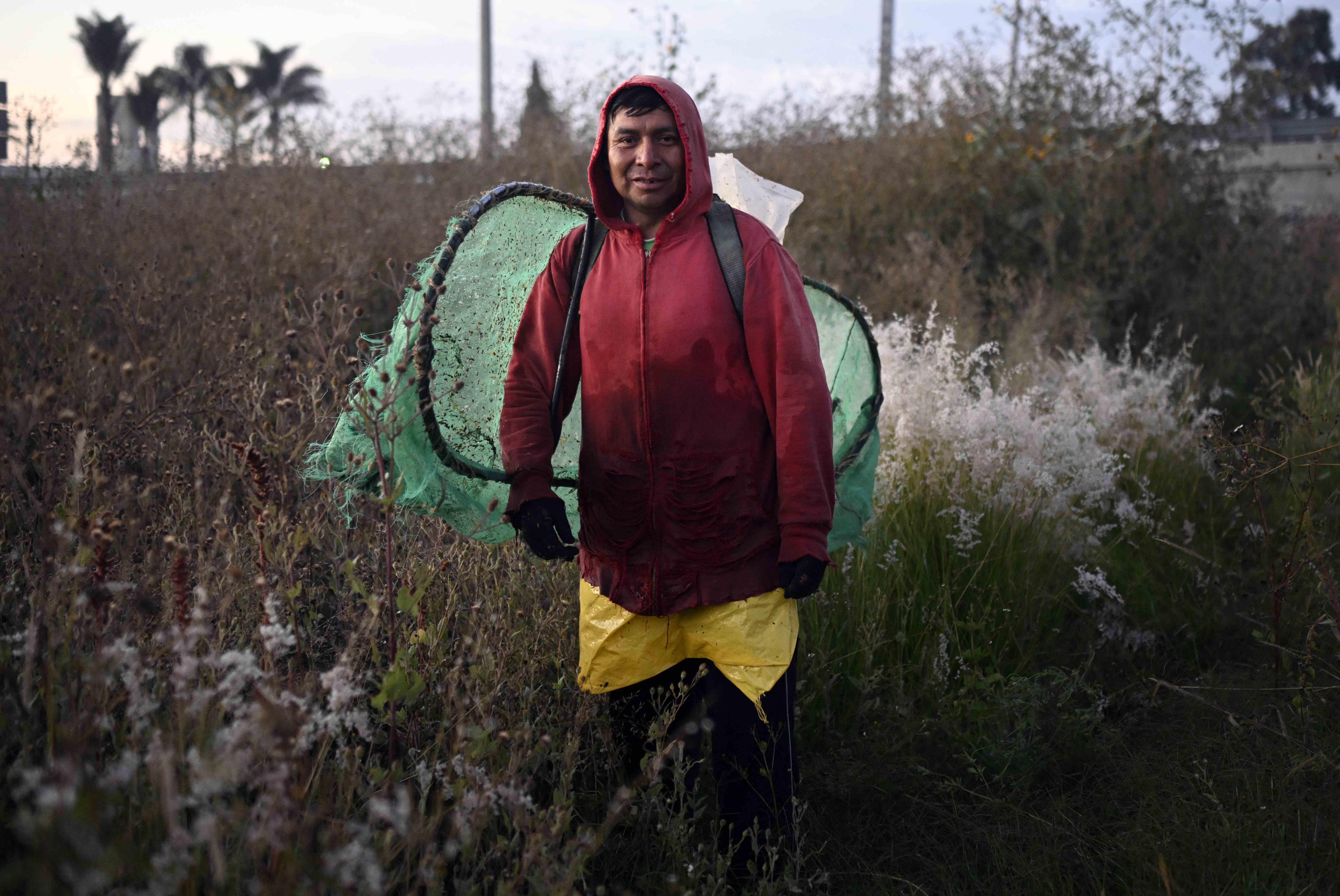 Adorados por los aztecas, chapulines asoman como alternativa a desnutrición infantil en México