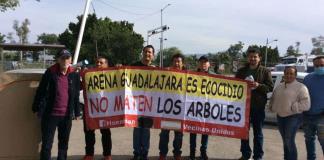 Pese a amparo, Guadalajara busca derribar 490 árboles en Huentitán
