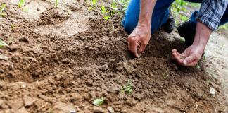 Campesinos advierten de la disminución de 4 millones de hectáreas de siembra en 2023