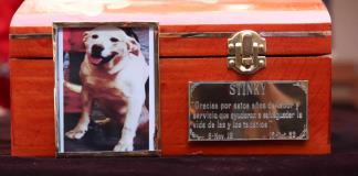 Rinden homenaje a Stinky, perro rescatista de Guadalajara