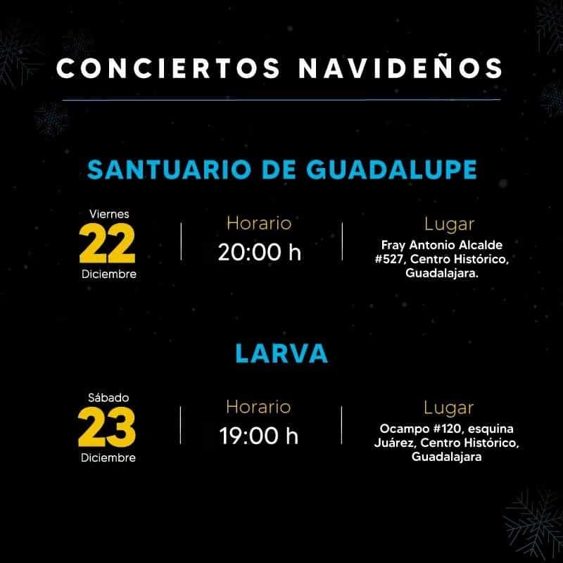 Vivaldi, Piazzola y Haydn aparecerán en el programa navideño de la Orquesta Metropolitana de Guadalajara