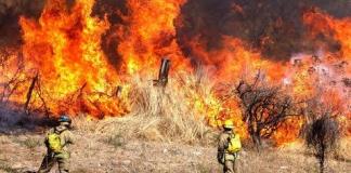 137 Incendios Impactan a municipios de la Costa Sur de Jalisco en el 2023, afectando 15,700 Hectáreas