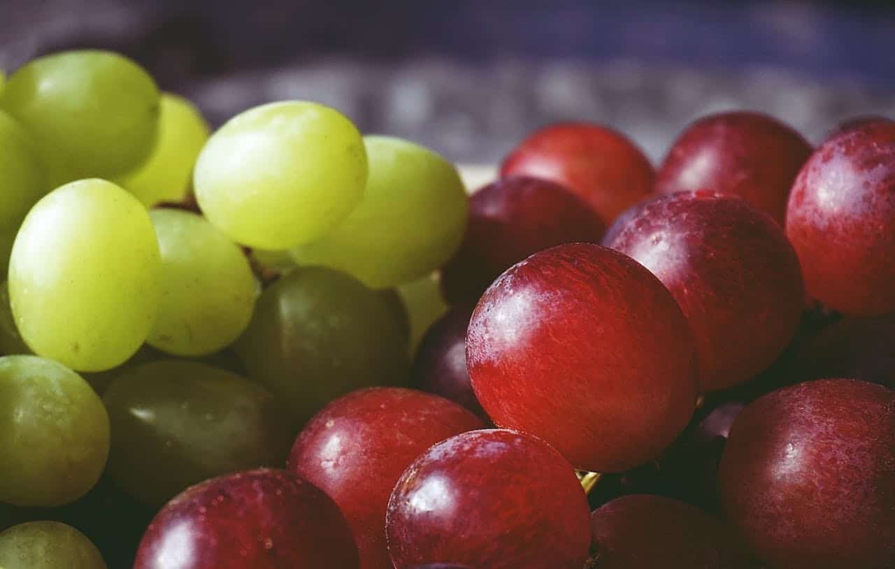 Los viticultores alemanes cosechan muchas menos uvas en 2024