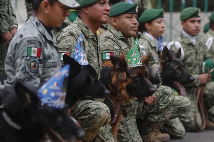 Ejército mexicano celebra cumpleaños de Arkadas, perro rescatista donado por Turquía