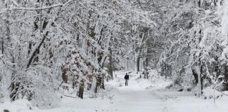 La tormenta invernal en EEUU deja al menos 3 muertos y cortes de electricidad