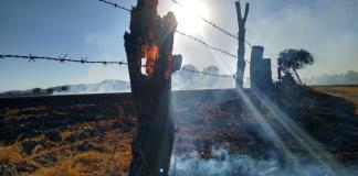 Desarrollo Rural de Ocotlán busca inhibir las quemas agrícolas